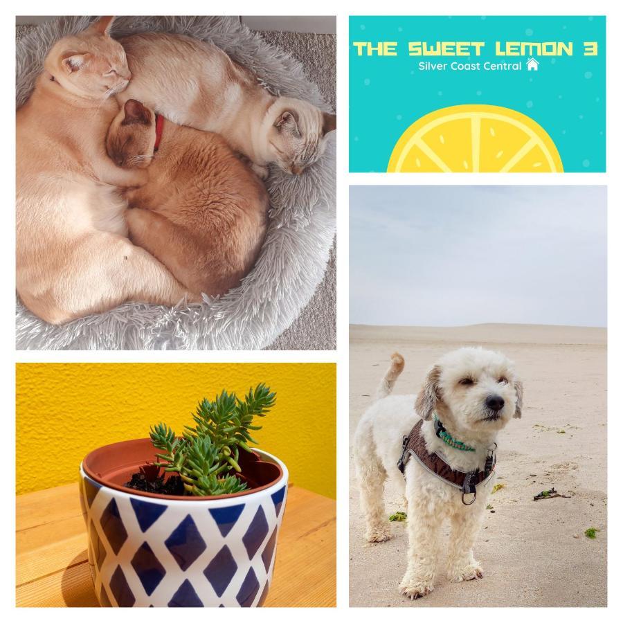 The Sweet Lemon 3 Apartment บอมบาร์ฮัล ภายนอก รูปภาพ